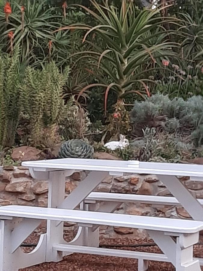 Mountain View Swellendam Lejlighed Eksteriør billede